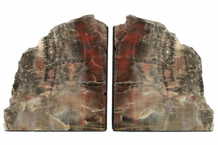 Tall, Arizona Petrified Wood Bookends #202300